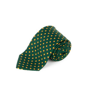 FEFE GREEN, YELLOW PAISLEY TIE | MENS
